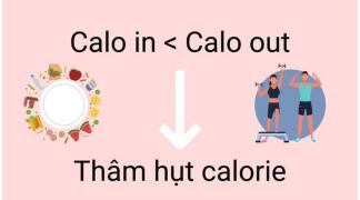 Calo In Calo Out Là Gì? Bí Quyết Giảm Cân Hiệu Quả Dựa Trên Nguyên Lý CICO