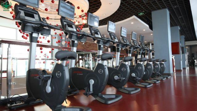 Tư vấn diện tích phòng gym phù hợp với từng mô hình kinh doanh