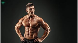 Chức năng của cơ bắp và vai trò trong tập luyện thể hình