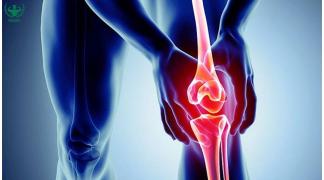 Khớp gối: Cấu tạo, vận động và cách phòng tránh chấn thương khi tập