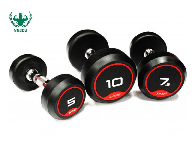 Các loại tạ trong phòng tập thể hình