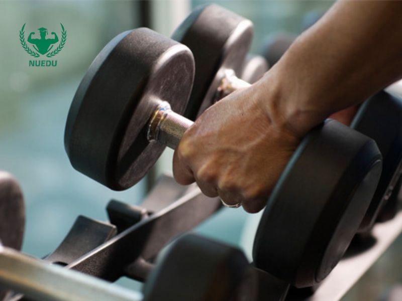 Lưu ý khi chọn loại tạ trong phòng tập thể hình