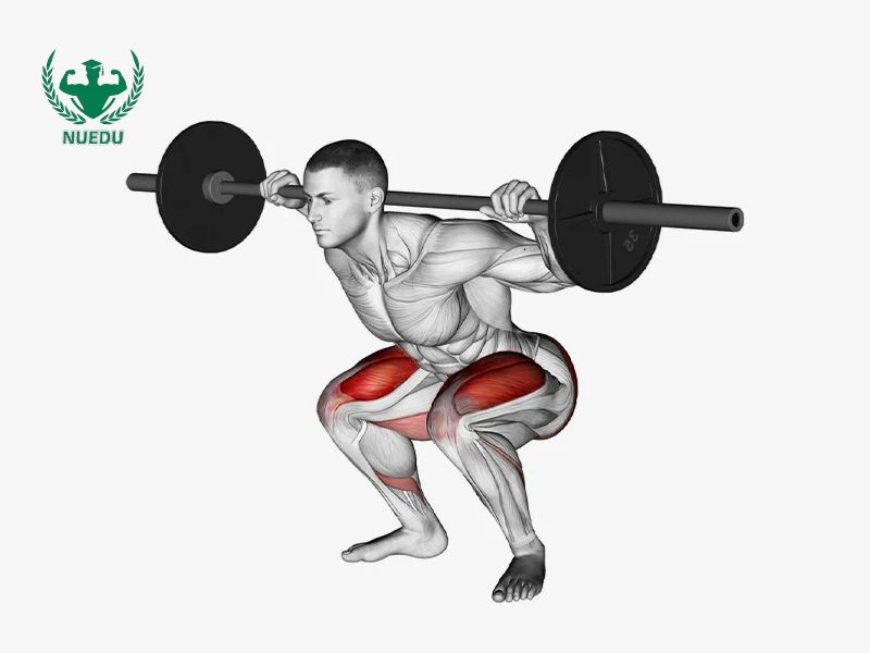 Back Squat là gì?