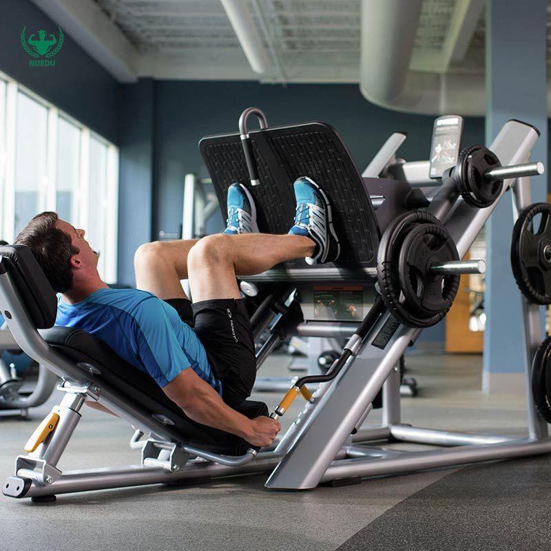 Leg Press là gì