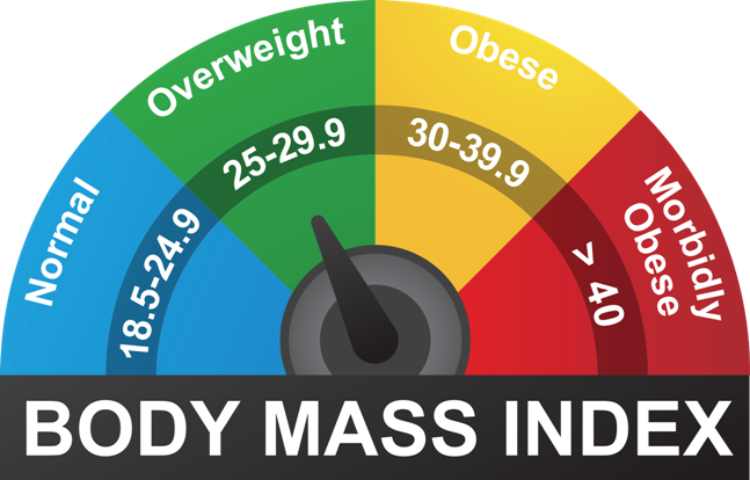 Chỉ số BMI xác định thể trạng hiện tại của bạn