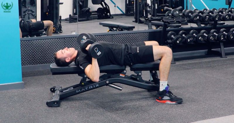 Dumbbell Bench Press