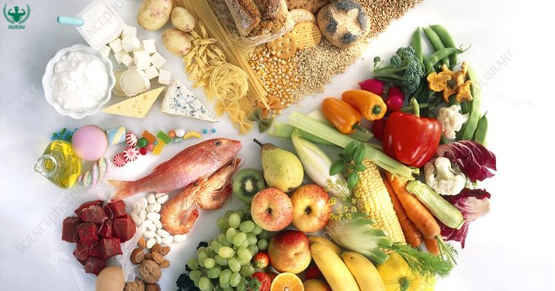 Các thực phẩm bổ dưỡng