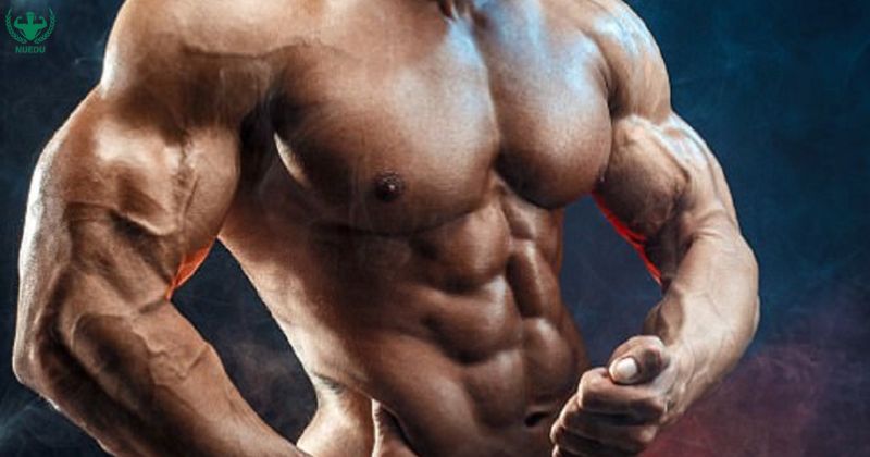 Nguyên tắc dinh dưỡng phát triển cơ bắp