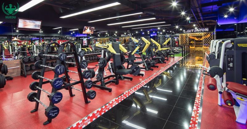 Phòng gym quy mô lớn (250 – 500 m²)