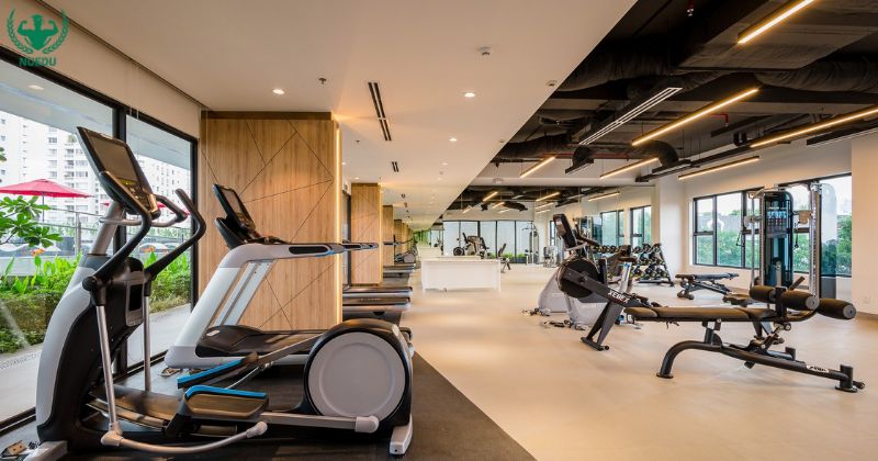 Phòng gym cỡ trung (100 – 250 m²)