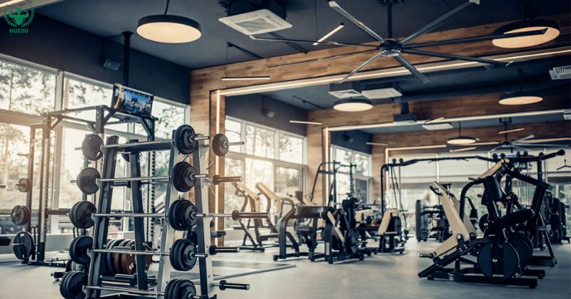 thiết bị gym hiện đại
