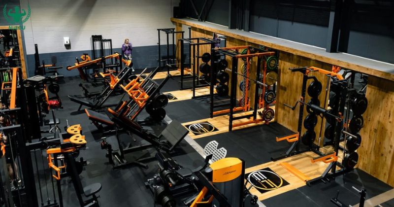 Thiết bị phòng gym hiện đại